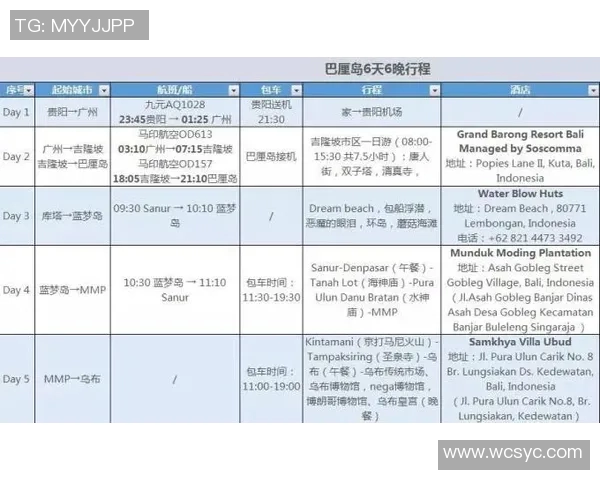 匹尼对巴厘联赛事分析与推荐策略详解