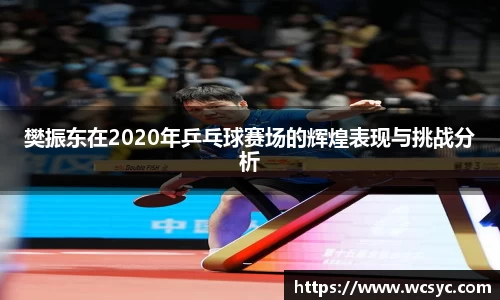 樊振东在2020年乒乓球赛场的辉煌表现与挑战分析